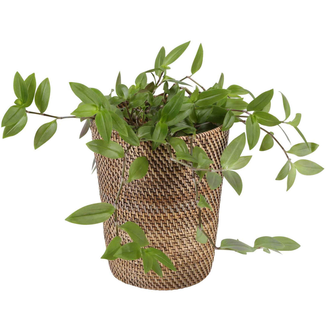 Papirkurv lavet af rattan Nila Light Brown