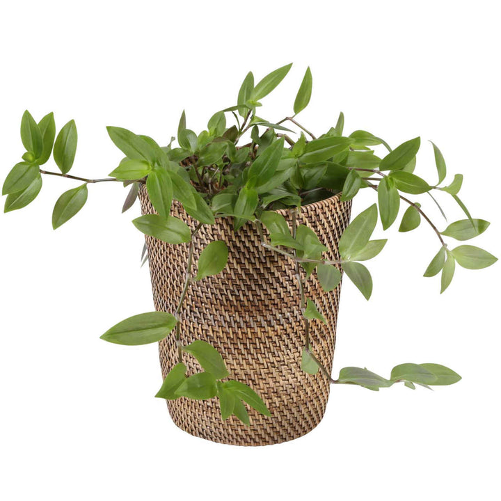Papirkurv lavet af rattan Nila Light Brown