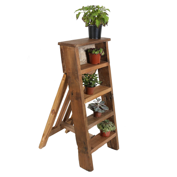 Asti plantehylde