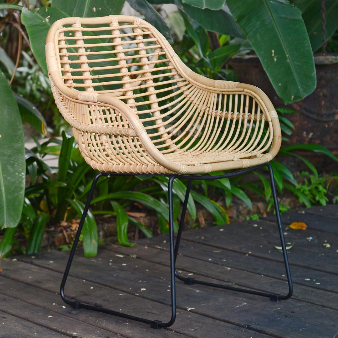 Rattan lænestol Malaga